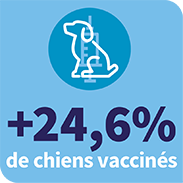 +24,6% de chiens vaccinés