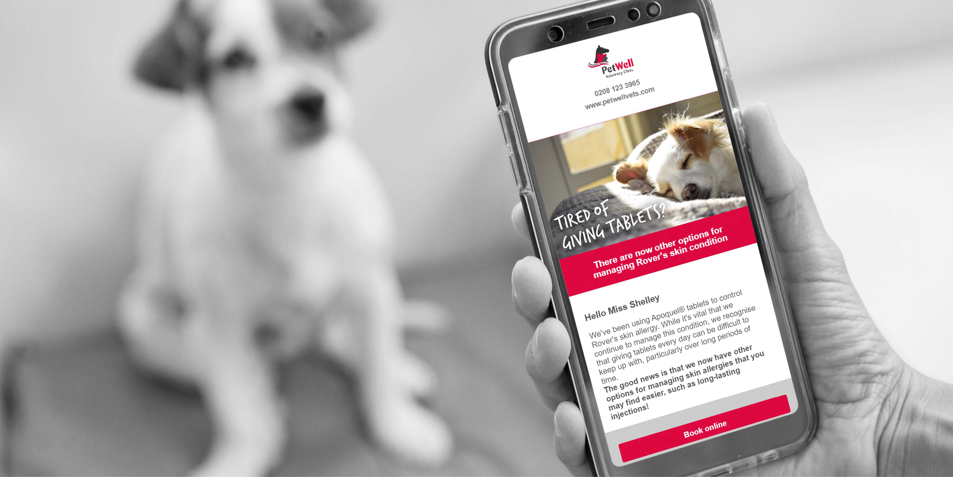 Automatic, personalised, veterinary communications