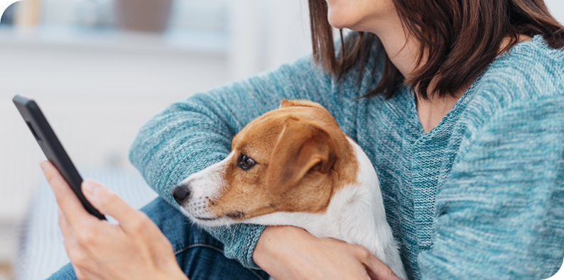 Su sistema personalizado de recordatorios de citas veterinarias