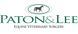 Paton & Lee Equine logo