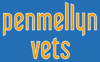 Penmellyn Vets logo