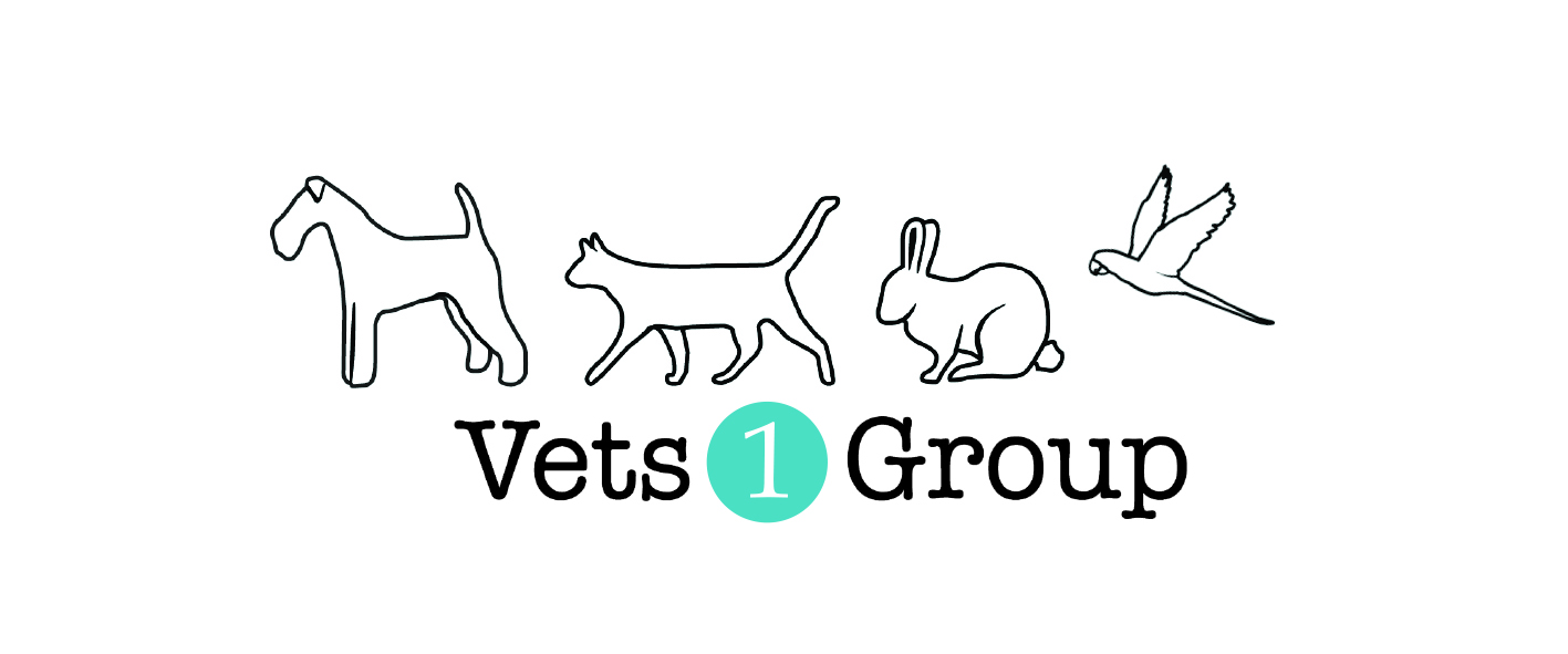 Vets 1 Group logo