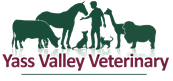 Yass Valley Veterinary