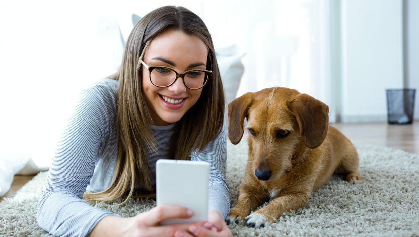 Veterinary reminders, pet-owner communication