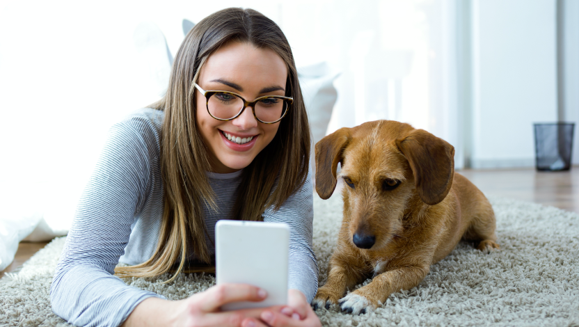 Su solución de comunicación inteligente con el cliente, creada para veterinarios, por veterinarios